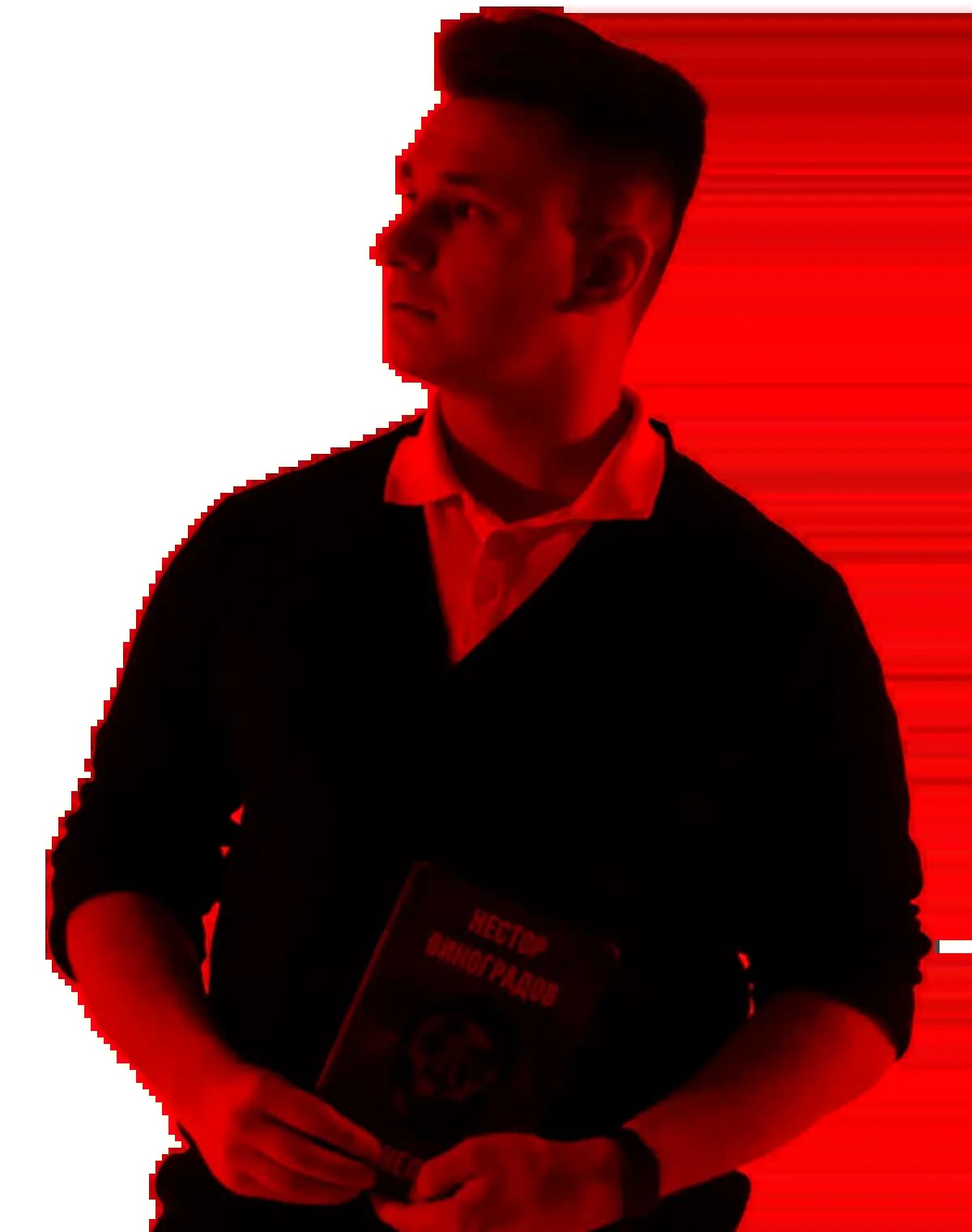 Поэт Нестор Виноградов, стихи